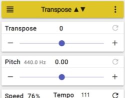 Browser Add-On für Musiker: Pitch, Speed & Loop