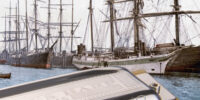 Bluesharp Video Songbook: 20 Seemannslieder / Sea Shanties